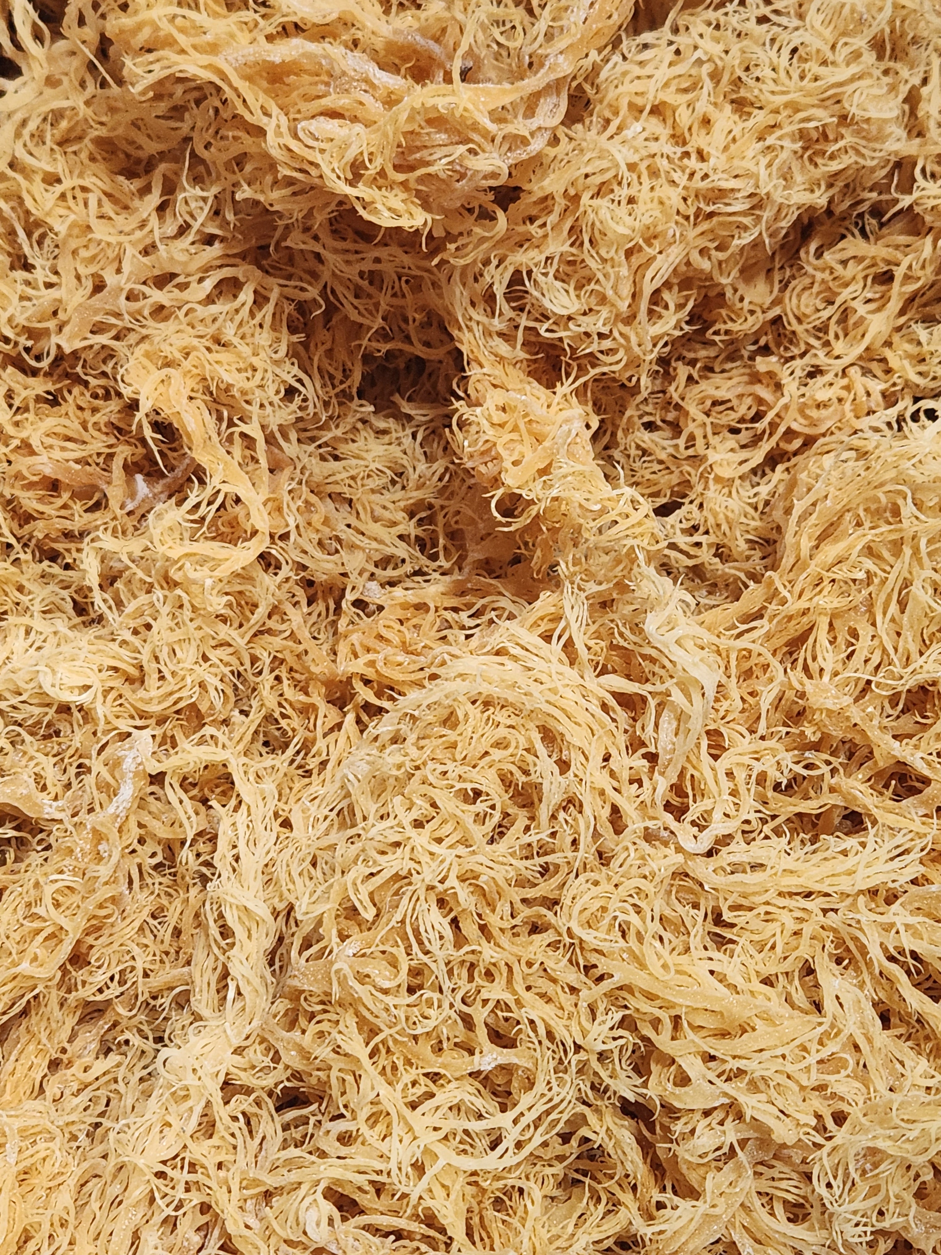 Raw Gold Sea Moss