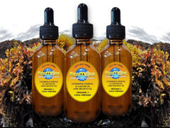 Hair Grow Premium Sea Moss Oil