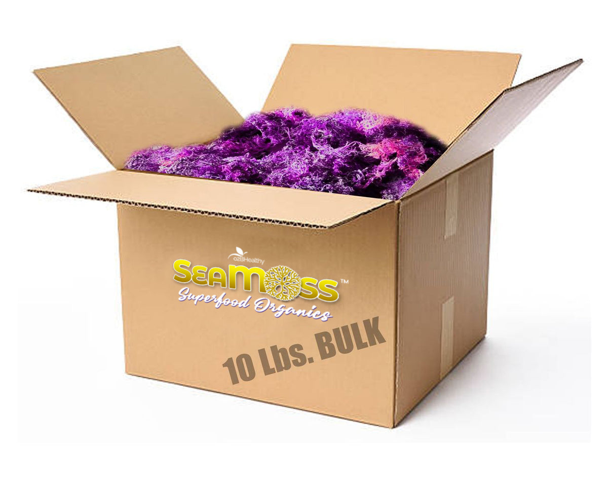 Ocean Wildcrafted Raw Purple Sea Moss Bulk 10 lbs minimum